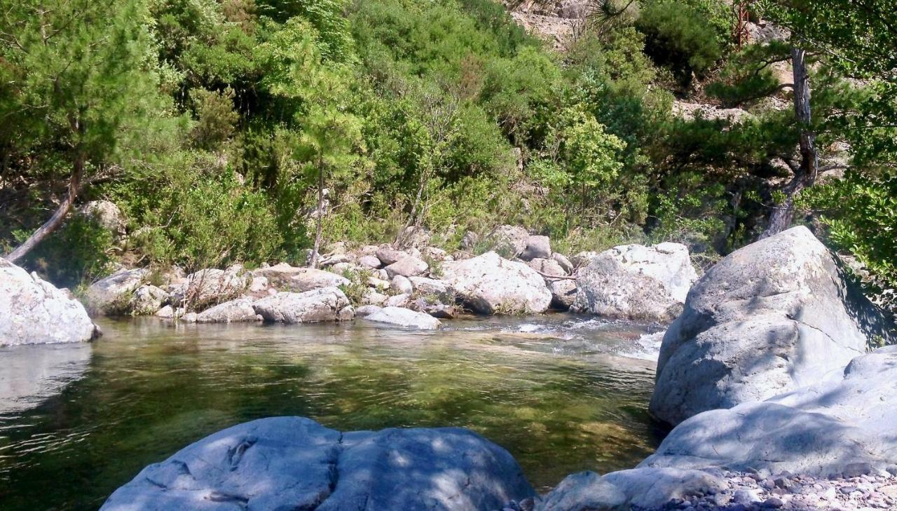Pietranera Studio Proche De La Mer A 2Km De Bastia Ville-di-Pietrabugno Exterior foto